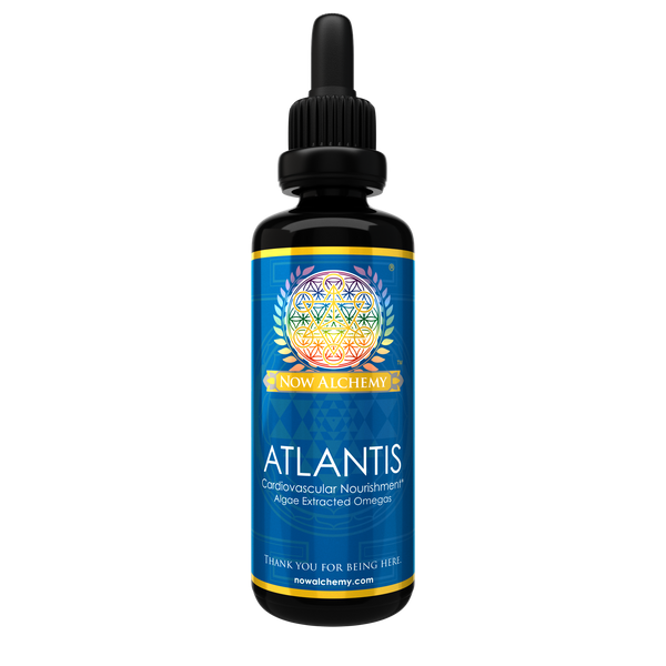 ATLANTIS (temporarily FREE with purchase of THE 6 KEYS!)
